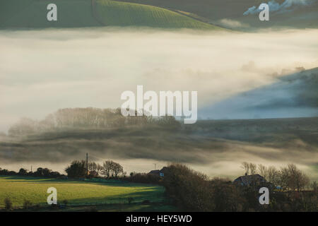 Misty inverno mattina a Steying ciotola in South Downs National Park, West Sussex, in Inghilterra. Foto Stock