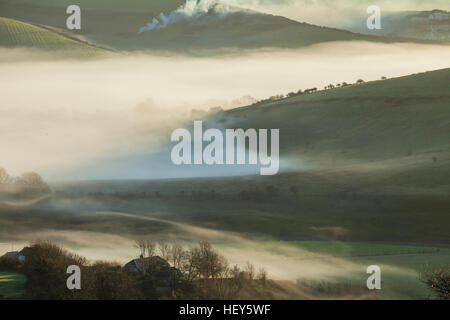 Misty inverno mattina a Steying ciotola in South Downs National Park, West Sussex, in Inghilterra. Foto Stock