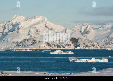 Vista della costa della penisola Antartico da situato vicino le isole Foto Stock