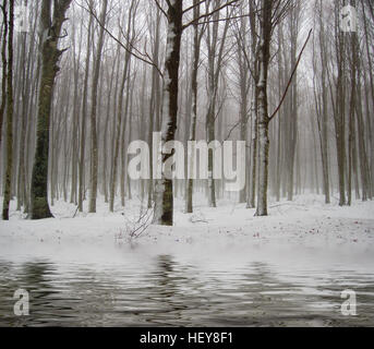La prima neve cade sui fiumi e laghi della foresta Foto Stock