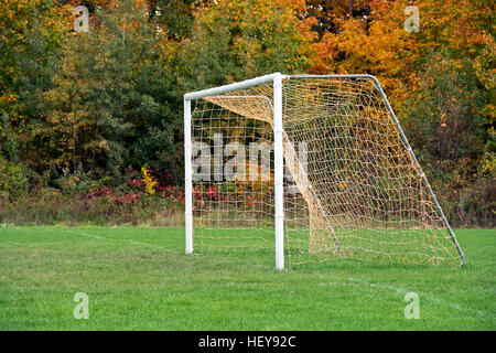 Vuoto obiettivo calcio net sul campo da gioco in autunno Foto Stock