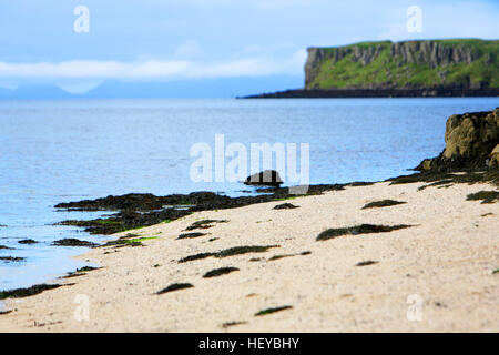 Le spiagge di corallo sulle rive di Loch Dunvegan vicino Claigan, Isola di Skye in Scozia Foto Stock