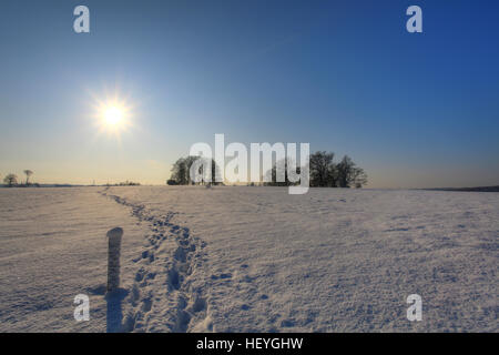 Coperta di neve Sheffield Park Gardens, East Sussex, England, Regno Unito Foto Stock