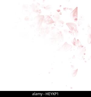 Fiore di Ciliegio petali. EPS 10 Illustrazione Vettoriale