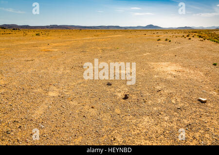 Reg sahara deserto nel sud-ovest del Marocco Foto Stock