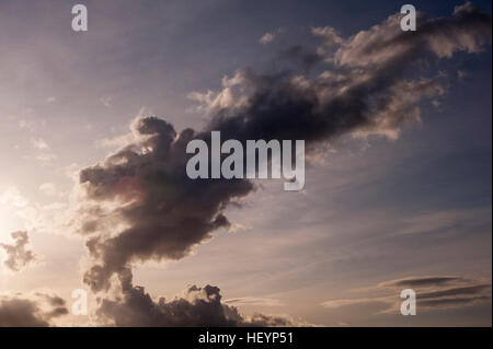 Cumulus Congestus nuvole Foto Stock