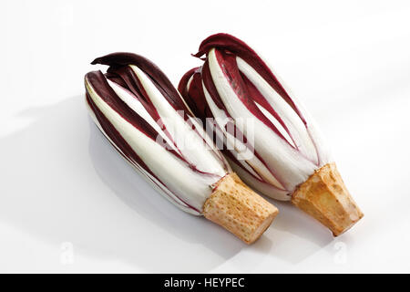 Radicchio, italiano di cicoria (Cichorium intybus var. foliosum) Foto Stock