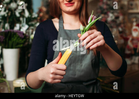 Fiorista femmina lavora con fiori Foto Stock