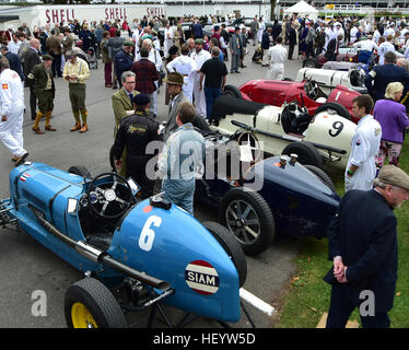 Charles McCabe, SER B-Type R5B, Remus, Goodwood Trophy, Grand Prix Cars, Voiturette, Goodwood 2016, 2016 classic cars, Goodwood, Goodwood ri Foto Stock