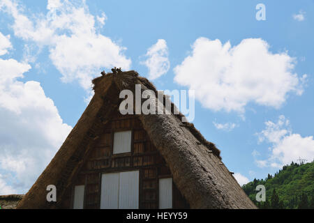 Tradizionale villaggio giapponese a Gokayama, Prefettura di Toyama, Giappone Foto Stock