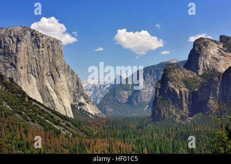 Vista della Valle di Yosemite, scogliere di granito, El Capitan, mezza cupola, montagne, Yosemite National Park, California, Stati Uniti d'America Foto Stock