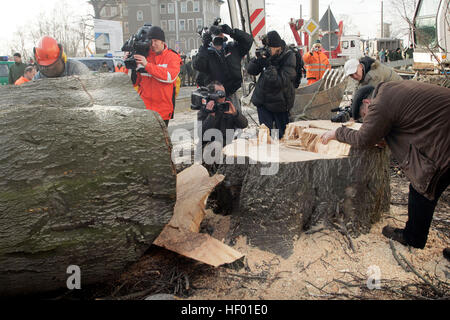 Robin Wood attivisti ambientali sono stati rimossi da un 300-anno-vecchio albero che è stato tagliato verso il basso al fine di costruire un nuovo bridge Foto Stock