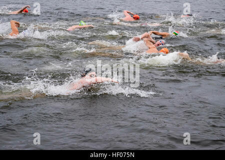 Membri della serpentina del club di nuoto partecipare all'annuale del giorno di Natale nuotare, Hyde Park, London, Regno Unito Foto Stock