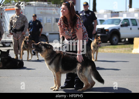 Ex Marine Cpl. Megan Leavey animali domestici militari di cane da lavoro Rex durante la sua cerimonia di pensionamento e di adozione a Camp Pendleton è K-9, unità di aprile 6. Leavey, che in precedenza era Rex's gestore, aveva scritto una lettera al Congresso la richiesta di adottare Rex poiché egli è stato costretto al ritiro a causa di una paralisi facciale. Rex è servita in tre implementazioni di combattimento e ha fornito oltre 11,575 ore di lavoro militari cane supporto consistente di oltre 6,220 ispezioni del veicolo durante il random anti-terrorismo ricerche. Rex era continuamente messa in modo danneggia durante più scontri a fuoco, malta e attacchi esplosivi improvvisati devic Foto Stock