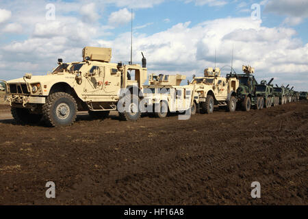 9 A 9 veicolo convoglio attende di discostarsi l'area di staging per combattere il battaglione della logistica 6, seconda Marine Logistics Group durante una formazione sul campo esercizio a bordo di Camp Lejeune, N.C., 28 febbraio, 2013. Trentuno Marines con il battaglione presidiata più tardi il convoglio su una rotta cancellazione esercizio lanciato per il supporto di un elicottero del team di supporto. Operazione di convoglio guarda al cielo 130228-M-ZB219-047 Foto Stock