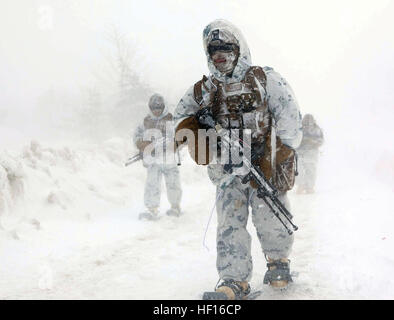 Marines patrol attraverso i venti forti e neve pesante 2 marzo durante un ampio campo di bilaterali esercitazione come parte della foresta di esercizio luce 13-3 all'Hokkaido-Dai area di manovra nella prefettura di Hokkaido, Giappone. Il FTX ha iniziato con i Marines e JGSDF pattugliamento separatamente a piedi e con veicoli meccanizzata per raggiungere una zona dove hanno istituito una posizione difensiva. Foto di PFC. Kasey Peacock JGSDF membri, Marines brave elementi, compiere la missione (immagine 3 di 3) (8537118334) Foto Stock