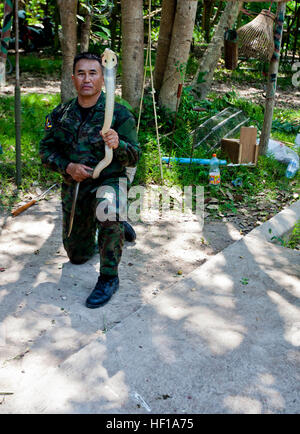 Un Royal Thai Marine Corps jungle survival istruttore tiene un cobra mentre l'insegnamento di una giungla di classe di sopravvivenza come parte di una piccola unità di formazione tattiche di esperto in materia di scambio con gli Stati Uniti I membri del servizio a Sattahip Base Navale, Sattahip, Thailandia, 22 maggio 2013. La formazione bilaterale esercizio è stato progettato per aumentare la disponibilità di forza e rafforzare l'interoperabilità tra gli Stati Uniti e le forze armate thailandesi. (U.S. Marine Corps photo by Lance Cpl. Katelyn M. Hunter/RILASCIATO) SUTTSMEE 130522-m-CO500-045 Foto Stock