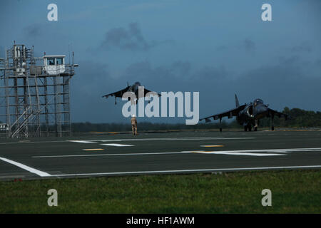 Un AV-8B Harrier pilota con Marine squadrone di attacco 223 conduce un atterraggio verticale su un finto LHD ponte di volo dal lunedì al Boga campo. Bulldog masticare attraverso la formazione dei gestori 130610-M-FL266-009 Foto Stock