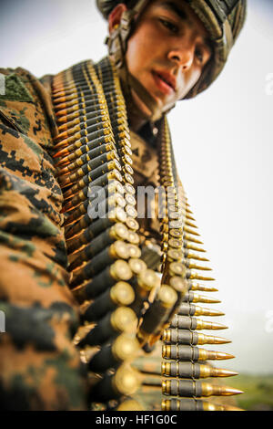 Lancia Cpl. Michael Gonzalez di Tyler, Texas, prepara le munizioni per il M240B automatico di arma da fuoco durante un live fire esercizio Settembre 18, 2013. L'esercizio era parte di una settimana di impegno in cui U.S. Marines e marinai con APS 13 addestrati con forze senegalesi per promuovere ulteriormente la sicurezza marittima e il partenariato nel settore. La senegalese aziende de Fusilier Marine Commando è cresciuta sempre più dimestichezza con la loro M16A2 fucili d'assalto, e ha preso la cottura trasforma la squadra di armi automatiche e M240B. Africa Partnership Station è un esercizio combinato tra Stati Uniti, Olandese, Spagnolo, Inglese britannico Foto Stock