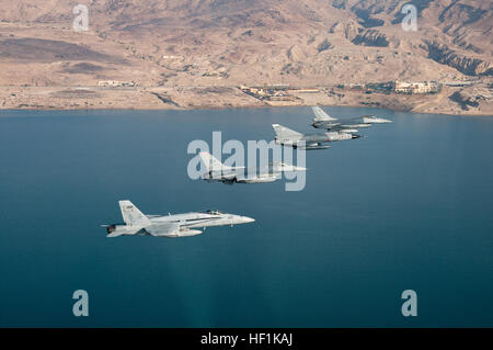 Due F-16 Fighting Falcons della Royal Jordanian Air Force e della U.S. Air Force 77th Wing, un F-18 Super Hornet della USS Harry S. Truman e un Mirage della Pakistan Air Force volano in formazione sul Mar morto durante l'incontro Falcon Air del 2010 alla Muwaffaq salti Air base, in Giordania. Falcon Air Meet è un'esercitazione multinazionale che promuove l'interoperabilità, le tattiche aeree e l'addestramento tra le forze aeree alleate. Foto Stock