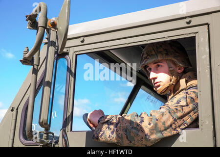 Lancia Cpl. Austin Boatright, il trasporto del motore operatore con Marine Wing Support Squadron 171, viste al suo specchi mentre altri Marines caricare un impianto mobile su una logistica del veicolo per la sostituzione del sistema MKR-18 Cargo veicolo a bordo del Marine Corps Air Station Iwakuni, Giappone, Gennaio 15, 2014. MWSS-171 driver, assistere gli operatori nella Malles-12 delocalizzazione 140115-M-BZ918-089 Foto Stock