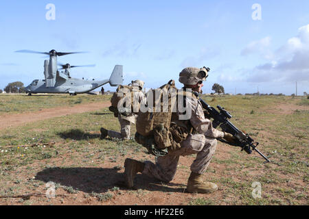 Due MV-22B falchi pescatori da dedicate Air-Ground Marine Task Force di risposta alla crisi di volare da un marocchino bandiera durante una rapida dimostrazione di risposta alle multinazionali degli osservatori di leone africano 14. Esercizio Leone africano è U.S. Africa il comando del programma di punta nel Nord Africa per costruire il partner-nazione di capacità e di interoperabilità. Il leone africano 14 Programma di osservatori è stato costruito per mostrare l'esercizio di potenziali partecipanti, impostando il fondamento per una più robusta impegni militari nelle iterazioni future. Gli Stati Uniti Marine Corps costringe l'Europa e Africa-led innesto è uno dei più grandi di io Foto Stock