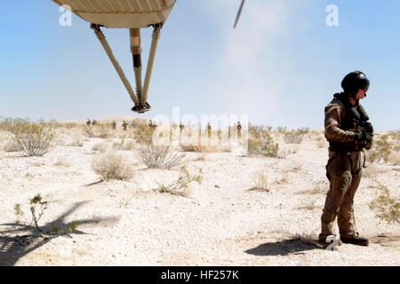 Stati Uniti Marines con, Bravo Company, 1bn., 1° Marines prepararsi a bordo CH-53E Super Stallion dopo la conduzione di una tattica di ripristino dei velivoli e personale (TRAP) Missione durante l'esercizio scimitar nel deserto (DS-14) tenutosi a Marine Corps Air Ground Centro di combattimento, ventinove Palms, California, 12 maggio 2014. DS-14 è una grande scala combinate armi, live-fire esercizio integrando le truppe di terra a partire dal 1° MARDIV, aviazione e supporto logistico dal 3 MAW e Marittima 1 gruppo di logistica per garantire che la nostra nazione sia pienamente preparati per l'occupazione come una manovra di forza su tutta la gamma delle operazioni militari. (U.S. Foto Stock