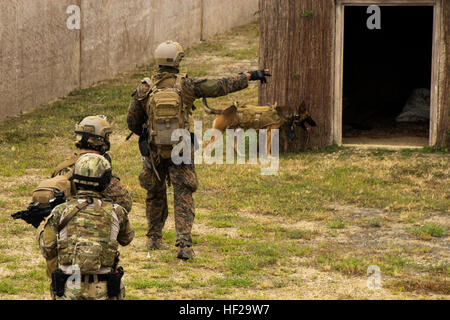 MARINE CORPS AREA formazione soffietto, Hawaii (Luglio 10, 2014) DEGLI STATI UNITI Marines e Repubblica di Corea guarnizioni pattugliare una simulazione di città per eventuali attività sospette durante un forze per le operazioni speciali (SOF) l'integrazione. L'esercizio utilizzato le abilità di combattimento e le capacità degli Stati Uniti Marine Special Operations Team 8133, ROK le guarnizioni e il Perù delle forze speciali per tenere in giù e la cattura di un alto valore bersaglio. Ventidue nazioni, 49 navi e sei sommergibili, più di 200 aerei e 25.000 personale partecipano RIMPAC dal 26 giugno al 1 agosto in e intorno alle Isole Hawaii e la California del Sud. Il mondo è la Foto Stock