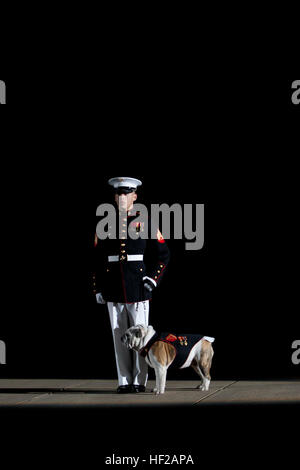 Un sergente del corpo dei Marines scortò la mascotte, il bulldog inglese Chesty XIV, durante una Parata serale alla Marine Barracks Washington, D.C., alla presenza del comandante generale dei Royal Marines britannici. Foto Stock
