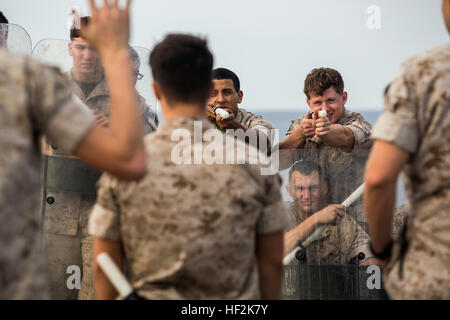 Marines con l'India batteria, Battaglione Team di atterraggio 3° Battaglione, 6° Reggimento Marini, 24 Marine Expeditionary Unit, condotta antisommossa formazione sul ponte di volo a bordo della USS Iwo Jima, Ottobre 21, 2014. La formazione viene condotta a sostegno della formazione composita dell'unità esercizio, il MEU l'ultima pre-distribuzione, formazione in preparazione per la prossima distribuzione alla fine dell'anno. (U.S. Marine Corps foto di Cpl. Todd F. Michalek) 24 MEU si prepara a distribuire 141021-M-YH418-006 Foto Stock