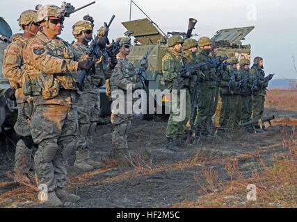 Soldati assegnata al 1° Brigata Team di combattimento, 1° Divisione di cavalleria, e i loro omologhi del lituano forze armate visualizzare le loro armi e veicoli di fronte ad una folla di lituano media civili e illustri leadership militare da entrambi i paesi prima di partecipare a un combinato di bracci live-fire esercizio, dimostrando comune capacità di fuoco e la manovra attraverso linee di cottura in un'installazione militare nei pressi di Pabrade, Lituania, Ottobre 30, 2014. Queste attività sono parte dell'U.S. Esercito Europa-Funzionamento led Atlantic risolvere forze terrestri formazione assicurazione svolge attraverso Foto Stock