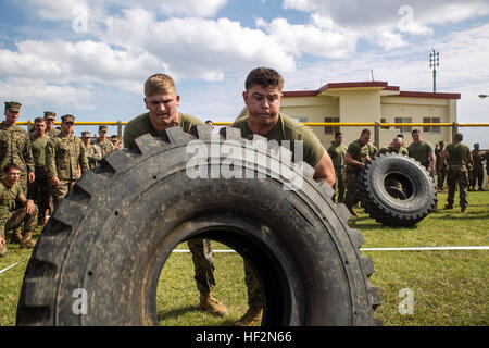 Pfc. Joshua Facenbaker, diritto, ribalta a 7 ton carrello pneumatico con lancia Cpl. Colin Osler Nov.14 durante i comandanti di Shanghai' Cup a Camp Schwab. La coppa di Shanghai snocciolate tre unità di programma di implementazione battaglioni e sede società, 4° Reggimento Marine, gli uni contro gli altri in nove eventi. Ottobre ha segnato il primo anno che 4 Marines ha avuto tre battaglioni completo sotto il suo comando poiché la sua riattivazione nel 1951. Facenbaker, da Malvern, Ohio, è un rifleman con 2° Battaglione, 9° Reggimento Marine, attualmente assegnati al 4° Reggimento Marine, terza divisione Marine, III Marine forza expeditionary, Foto Stock