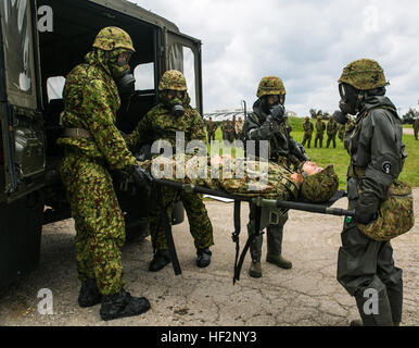 Giappone terra Forza di Autodifesa membri con le armi speciali Unità di Protezione scarico di un incidente durante un esercizio di risposta 1 Dic a Camp Naha, Okinawa. La formazione è aumentato i legami tra il JGSDF e partecipando U.S. Marines mediante la costruzione di fiducia e la fiducia tra le due nazioni. Il JGSDF i membri sono con il nucleare Chimica Biologica unità, xv brigata. (U.S. Marine Corps photo by Lance Cpl. Tyler S. Giguere/RILASCIATO) Marines, JGSDF rispondere rapidamente alle contaminazioni simulato 141202-m-RZ020-004 Foto Stock