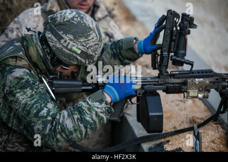 Una repubblica di Corea Marine cancella la M249 arma automatica della squadra 5 febbraio durante il coreano Marine programma Exchange 15-3 in Gimpo, Gyeonggi Provincia, Repubblica di Corea. Il ROK Marines hanno dato 200 tornate al fuoco al target da 200-- 500 metri. Gli Stati Uniti Marines hanno dimostrato la gamma prima e poi assistito il ROK Marines durante la loro cottura. Gli Stati Uniti Marines sono uomini di ricognizione con la società A, 3° Battaglione di ricognizione, terza divisione Marine, III Marine Expeditionary Force. Il ROK Marines sono forza uomini di ricognizione con il 2° Battaglione, 2° Divisione Marine. (U.S. Marin Foto Stock