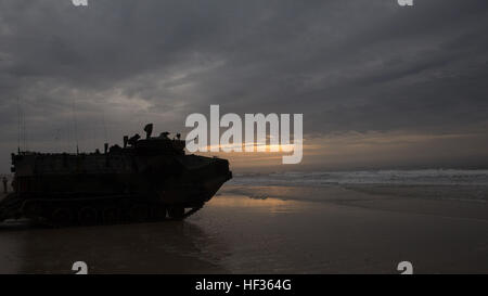 Assalto veicoli anfibi siedono silenziosamente su Onslow beach a bordo di Camp Lejeune, N.C., 8 aprile 2015. Un plotone di AAV, riempita con una compagnia di fanteria Marines da Fox Company, 2° Battaglione, imbarcato sulla USS Wasp al largo della costa di Onslow beach per preparare la prossima giornata di fanteria meccanizzata assalto. (U.S. Marine Corps foto di Cpl. Justin T. Updegraff/ Rilasciato) Integrazione meccanizzata, secondo assalto anfibio conduce il battaglione di fanteria meccanizzata assault 150408-M-TV331-022 Foto Stock