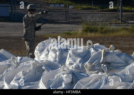 Stati Uniti Army Chief Warrant Officer 2 Giosuè Blizzard, la zona di prelievo ufficiale responsabile assegnato a La Carolina del Sud esercito nazionale della guardia st 1-151attacco battaglione di ricognizione, dà senso alla zona di prelievo per la missione sandbagging in Columbia, S.C., durante una statewide Flood response, il 7 ottobre 2015. La Carolina del Sud la Guardia Nazionale è stata attivata per il supporto di stato e contea di gestione di emergenza e le agenzie locali di prima emergenza come storico impatti di allagamento contee statewide. Attualmente più di 2.600 in Carolina del Sud la guardia nazionale i membri sono stati attivati in risposta a t Foto Stock