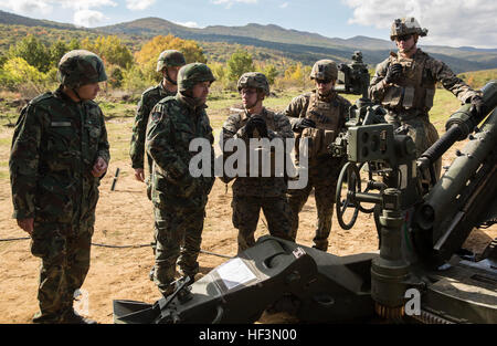 Marines con i bracci combinato società dimostrano la M-777 Obice sistema di armi in bulgaro delle Forze Armate in un live-fire esercizio durante il platino Lion 16-1 a Novo Selo Area Formazione, Bulgaria, Ott. 29, 2015. Il CAC, parte del Mar Nero La forza di rotazione, prevede il serbatoio, ricognizione e supporto di artiglieria per migliorare la formazione multilaterale, rassicurare gli alleati della NATO e partner del nostro impegno per la difesa regionale. (U.S. Marine Corps Foto di Cpl. Justin T. Updegraff/ Rilasciato) Marines americani il treno con le forze europee in Bulgaria 151104-M-TV331-634 Foto Stock