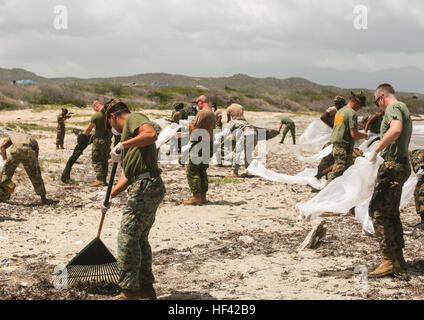 I membri del servizio delle nazioni partner partecipano in una spiaggia cleanup durante l'esercizio Tradewinds 2016 a Half Moon Bay Beach, Giamaica, 26 giugno 2016. Tradewinds è una multinazionale del settore marittimo, di massa e di sicurezza interagenzie esercizio agevolato dalla U. S. comando sud. Tradewinds prevede la possibilità per le nazioni partecipanti per migliorare l'interoperabilità e di eseguire in modo efficace il futuro marittimo e terrestre, operazioni per includere gli aiuti umanitari e la risposta alle catastrofi. (U.S. Marine Corps foto di Cpl. Samuel Guerra/RILASCIATO) Giamaica, 17 nazioni partner sporcarsi per massicce cl costiera Foto Stock