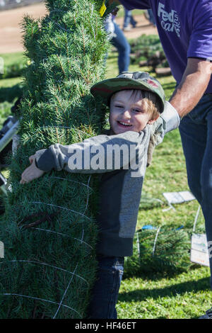 Le piante annuali per le truppe evento è ospitato su filo campo di montagna su Camp Pendleton California, Dicembre 3, 2016. Alberi per le truppe è un evento che fornisce gratuitamente gli alberi di Natale al servizio dei membri e delle loro famiglie. (US Marine Corps foto di PFC. Rhita Daniel) Alberi per le truppe 120316-M-OB268-376 Foto Stock