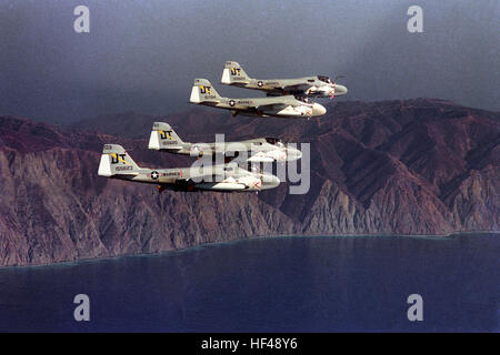 Quattro Marine All-Weather Medium Attack Squadron 242 (VMA(AW)-242) A-6A Intruder volano in formazione echelon in una vista aria-aria lato destro. L'esercitazione dimostra la formazione il volo e il coordinamento tattico per le missioni d'attacco. Foto Stock