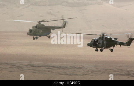 Provincia di Helmand, Afghanistan - Un Mi-17 "fianchi" con la nazionale afghano di Forze Aeree conduce una Mk9(A) 'lynx' con il Regno Unito Lynx distacco della 659 Squadriglia Army Air Corps, durante una missione congiunta per fornire materiali elettorali e personale da Lashkar Gah a Musa Quelah qui sett. 14. Due elicotteri Lynx overwatch fornito sostegno a tre fianchi durante la missione, che segna un passo in avanti per l'ANAF piloti e la loro funzionalità. La missione congiunta è stata completata con successo in una questione di ore senza problemi di comunicazione anche con la barriera della lingua. I piloti afghani consegnare Ele Foto Stock