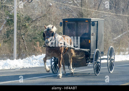 Un buggy Amish del Bull su strada in St. Mary's County, Maryland, 18 febbraio 2015. Foto Stock