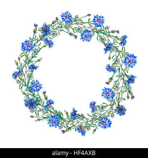 Ghirlanda di telaio a cerchio con erbe aromatiche estive, fiori di prato. Acquarello dipinto a mano illustrazione a isolare lo sfondo bianco. Foto Stock