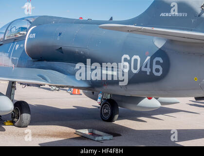 Aereo da combattimento ceco L-159 ALCA con una bottiglia di plastica sotto di esso Foto Stock