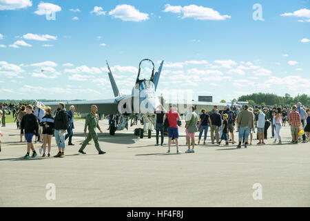 Repubblica Ceca da combattimento aereo sul display durante l'air show per celebrare Swedish Air Force 90 anno di esistenza. L-159T1 piano trainer. Foto Stock