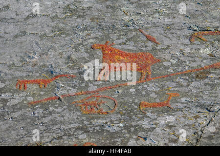 Petroglifi svedese in Norrkoping Foto Stock