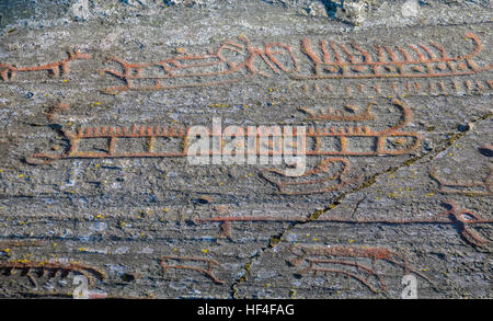 Petroglifi svedese in Norrkoping Foto Stock