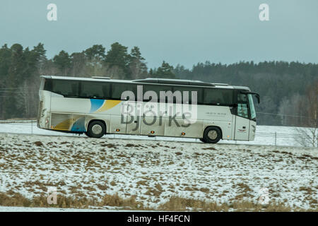 Buss pullman sulla strada aperta Foto Stock