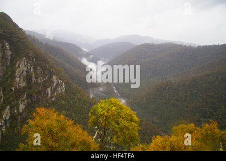 Leven canyon, Tasmania, Australia Foto Stock