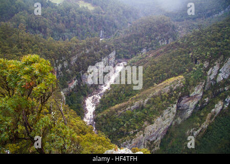 Leven canyon, Tasmania, Australia Foto Stock